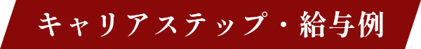 キャリアステップ・給与例
